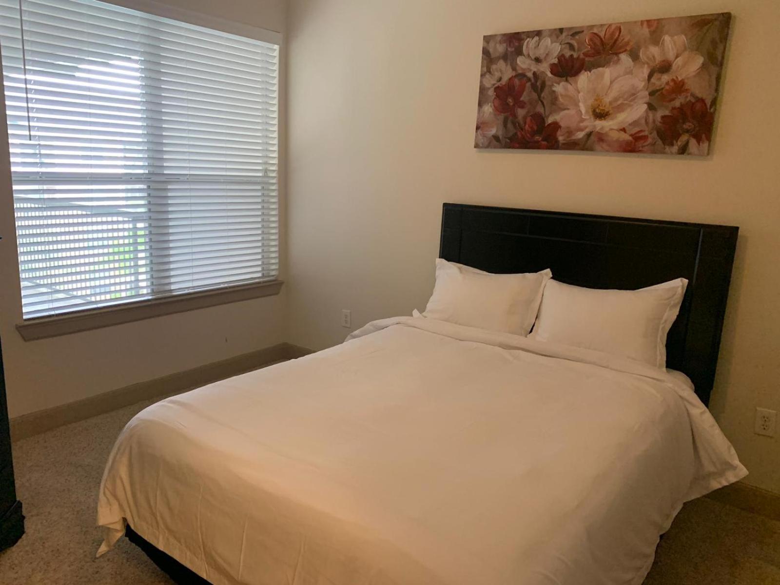 Gorgeous Furnished Apartments Near Texas Medical Center & Nrg Stadium Χιούστον Δωμάτιο φωτογραφία