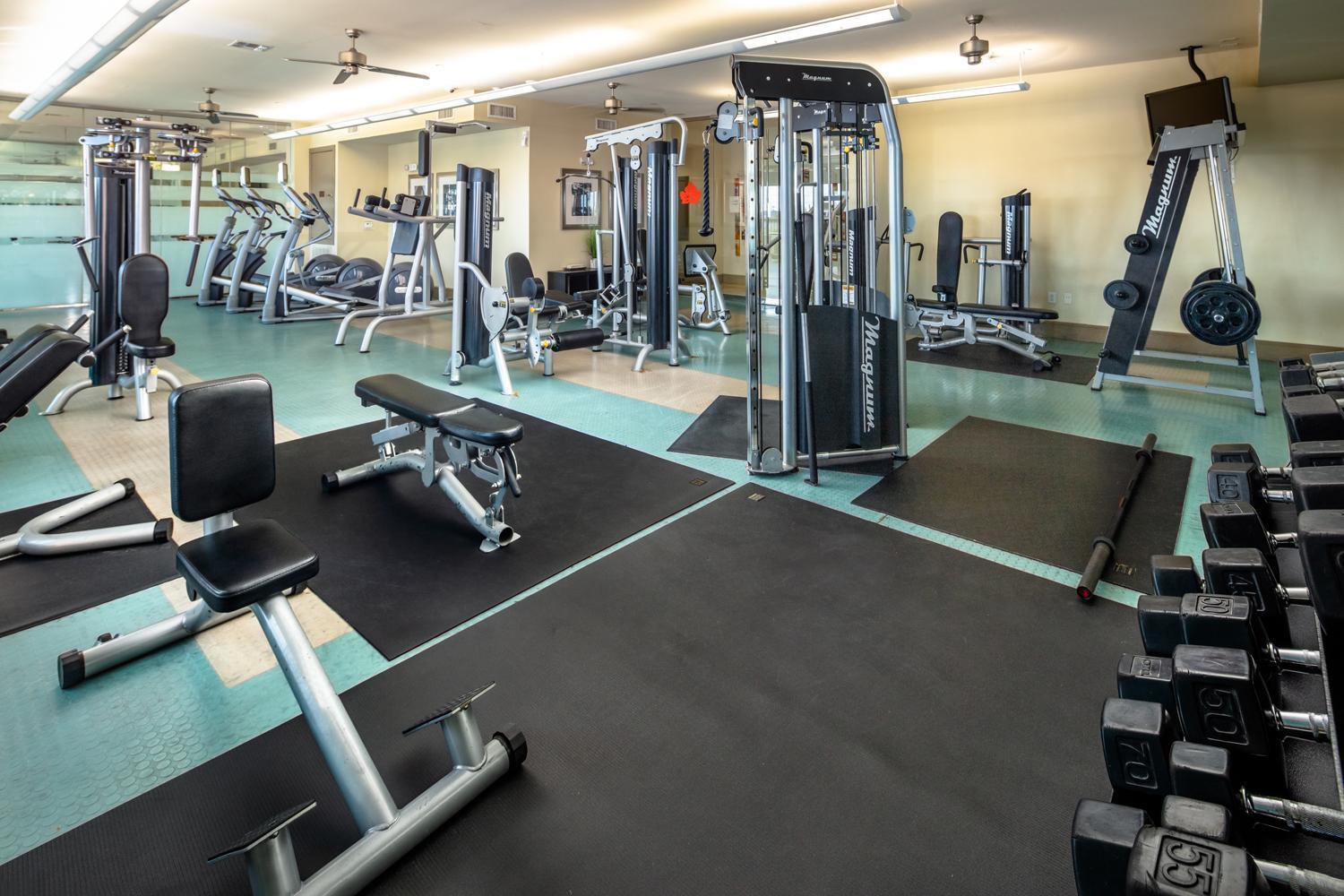 Gorgeous Furnished Apartments Near Texas Medical Center & Nrg Stadium Χιούστον Εξωτερικό φωτογραφία